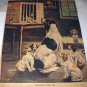 BREAKING HOME TIES-Cute Vintage Print-Mother Dog with 6 new Puppies Saying Goodbye
