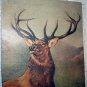 LANDSEER-MONARCH OF THE GLEN-Vintage Lithograph Print-Large Majestic Buck