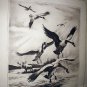 R.H.PALENSKIE-Coming Out Of The Clouds-Vintage Dry Point Print-Canadian Geese and Moose
