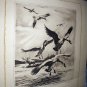 R.H.PALENSKIE-Coming Out Of The Clouds-Vintage Dry Point Print-Canadian Geese and Moose