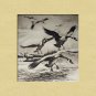 R.H.PALENSKIE-Coming Out Of The Clouds-Vintage Dry Point Print-Canadian Geese and Moose
