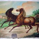 Running Horses Antique Chromolithograph Print-Excellent Condition