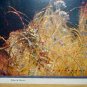 BLACK BEAR-Cabin Art Lithograph Print-P.B.PARSONS