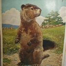 THE WOODCHUCK-Vintage Illustration Cabin Artwork Theme THE WOODCHUCK-Vintage Illustration Cabin Artwork Theme