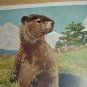 THE WOODCHUCK-Vintage Illustration Cabin Artwork Theme