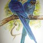 Beautiful BLUE HYACINTH MACAWS Newer Lithograph Print