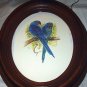 Beautiful BLUE HYACINTH MACAWS Newer Lithograph Print