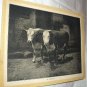 PRIME BEEF-Antique Calendar Lithograph Print-Two Large HEREFORD COWS