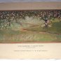 1885-APPLE BLOSSOMS-GORGEOUS-ORIGINAL ANTIQUE CHROMOLITHOGRAPH PRINT-GEORGE GIBSON
