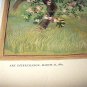 1885-APPLE BLOSSOMS-GORGEOUS-ORIGINAL ANTIQUE CHROMOLITHOGRAPH PRINT-GEORGE GIBSON