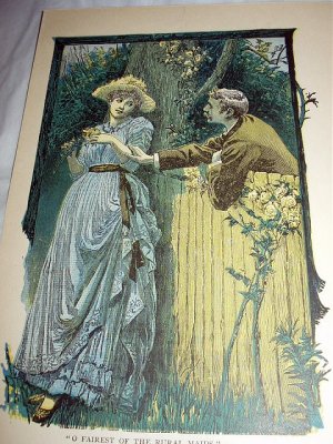 Antique Coloured Engraving-Man Romancing Victorian Lady in Rose Garden