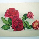 1900s USED Antique Postcard-Grouping Red and Pink Roses
