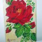 Lovely Antique UNUSED Postcard-Sincere Greetings-Red Rose