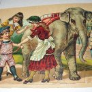 Antique Die Cut Larger Scrap-Children,Circus Elephant