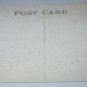 Unused GERMANY Postcard-Lovely Vase of Purple and White Lilacs-Birthday Greetings