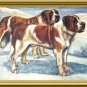 Used Postcard Printed In England-ST. BERNARDS(Rough & Smooth)G.Vernon Stokes Artist