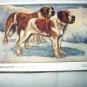 Used Postcard Printed In England-ST. BERNARDS(Rough & Smooth)G.Vernon Stokes Artist