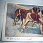 Used Postcard Printed In England-ST. BERNARDS(Rough & Smooth)G.Vernon Stokes Artist