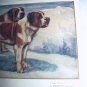 Used Postcard Printed In England-ST. BERNARDS(Rough & Smooth)G.Vernon Stokes Artist