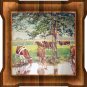 Herd of Grazing & Drinking Cows,Shade of Tree-Vintage Lithograph print