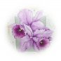 Vintage Mother's Day Greeting Card-Beautiful Purple Orchids