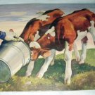 Charming Farming Print of two young calfs taking a drink