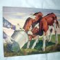 Charming Farming Print of two young calfs taking a drink