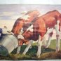 Charming Farming Print of two young calfs taking a drink