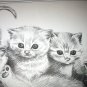 1983-Pollyanna Pickering Ilustration-Five Adorable Playful Sweet Kittens