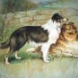 1897 Antique Chromolithograph-Collie Dogs Calendar