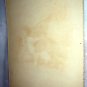 1897 Antique Chromolithograph-Collie Dogs Calendar