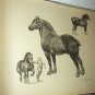 Percheron and Clydesdale Horses-Edwin Megargee Original Vintage Lithograph Print