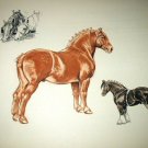 Belgian and Shire Horses-Edwin Megargee Original Vintage Lithograph Print Belgian and Shire Horses-Edwin Megargee Original Vintage Lithograph Print