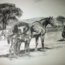 Thoroughbred Breeding of Horses-Edwin Megargee Original Vintage Lithograph Print