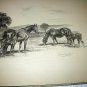 Thoroughbred Breeding of Horses-Edwin Megargee Original Vintage Lithograph Print