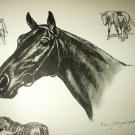 The Race Horse-Edwin Megargee Original Vintage Lithograph Print The Race Horse-Edwin Megargee Original Vintage Lithograph Print