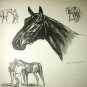The Race Horse-Edwin Megargee Original Vintage Lithograph Print