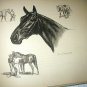 The Race Horse-Edwin Megargee Original Vintage Lithograph Print