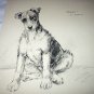 Airedale Dog-Jerry In Memory-Vintage Lithograph Print
