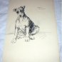 Airedale Dog-Jerry In Memory-Vintage Lithograph Print