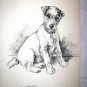 Airedale Dog in Sepia Tone Vintage Lithograph-Please I've Come-Backside Otter Hounds