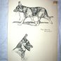 Vintage Lithograph-Sweet Airedale Dog in Wicker Bed,Backside German Shepard Dogs