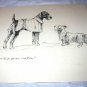 Airedale Dog In Coat with Little Terrier Vintage Lithograph Print