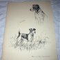 Images of Airedale Dogs-Nice large lithograph print-Front and Back