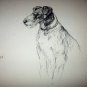 Images of Airedale Dogs-Nice large lithograph print-Front and Back