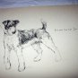 Images of Airedale Dogs-Nice large lithograph print-Front and Back