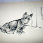 English Bulldog-Large Vintage Lithograph Print-Backside Scottish Terriers