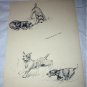 Tinker and His Pals-Airedale,Scottish Terrier Dog Vintage Lithograph,Backside Sealy