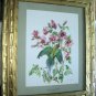 Cecil Golding,Blossom Headed Green Parakeet Bird Vintage lithograph print Suitable for framing