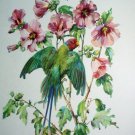 Cecil Golding,Blossom Headed Green Parakeet Bird Vintage lithograph print Suitable for framing Cecil Golding,Blossom Headed Green Parakeet Bird Vintage lithograph print Suitable for framing